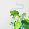 Acrylic Trellis - Plant Supports - Waves - Macaron