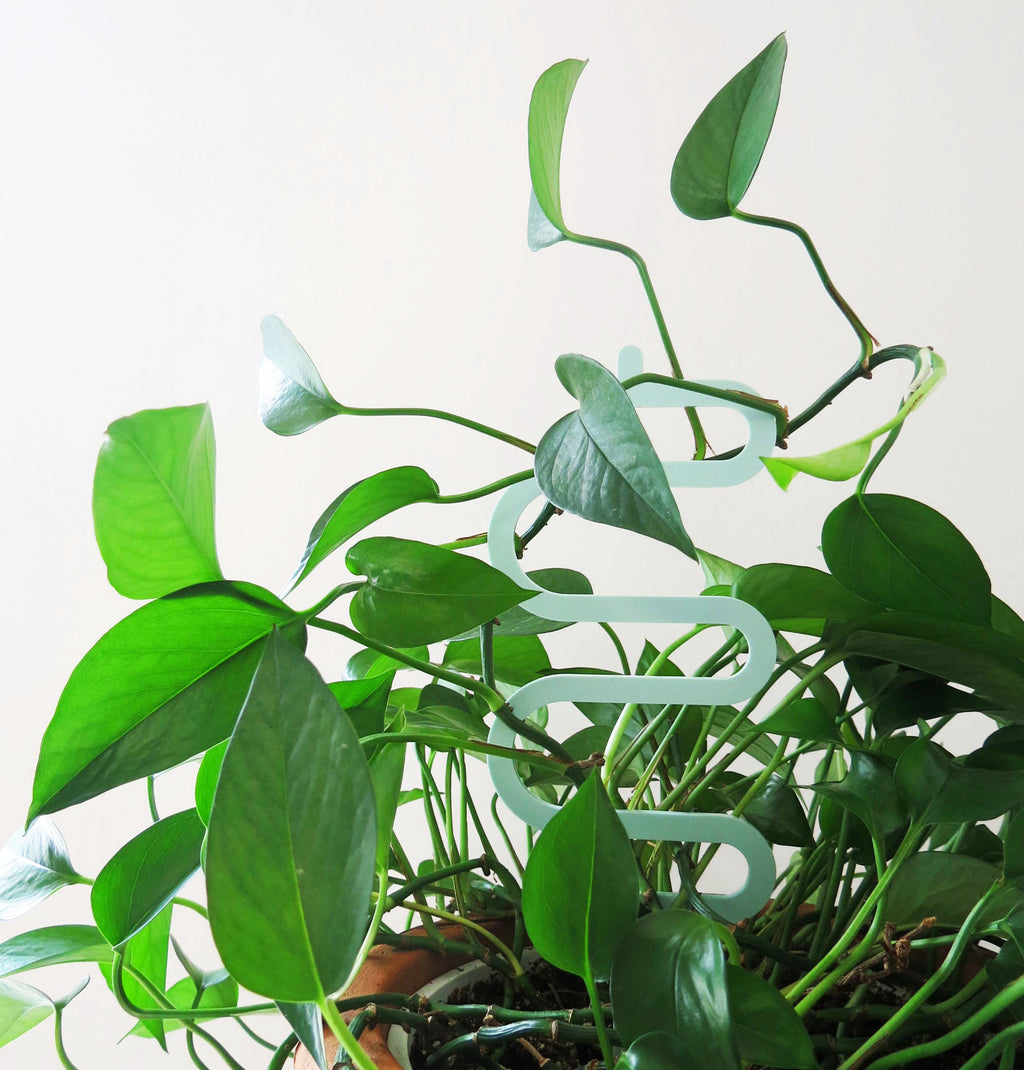 Acrylic Trellis - Plant Supports - Waves - Macaron
