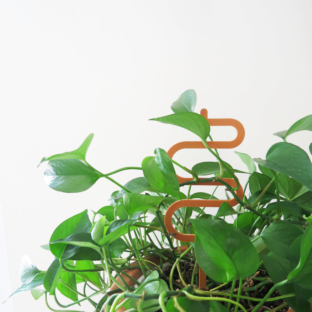 Acrylic Trellis - Plant Supports - Waves - Nutmeg