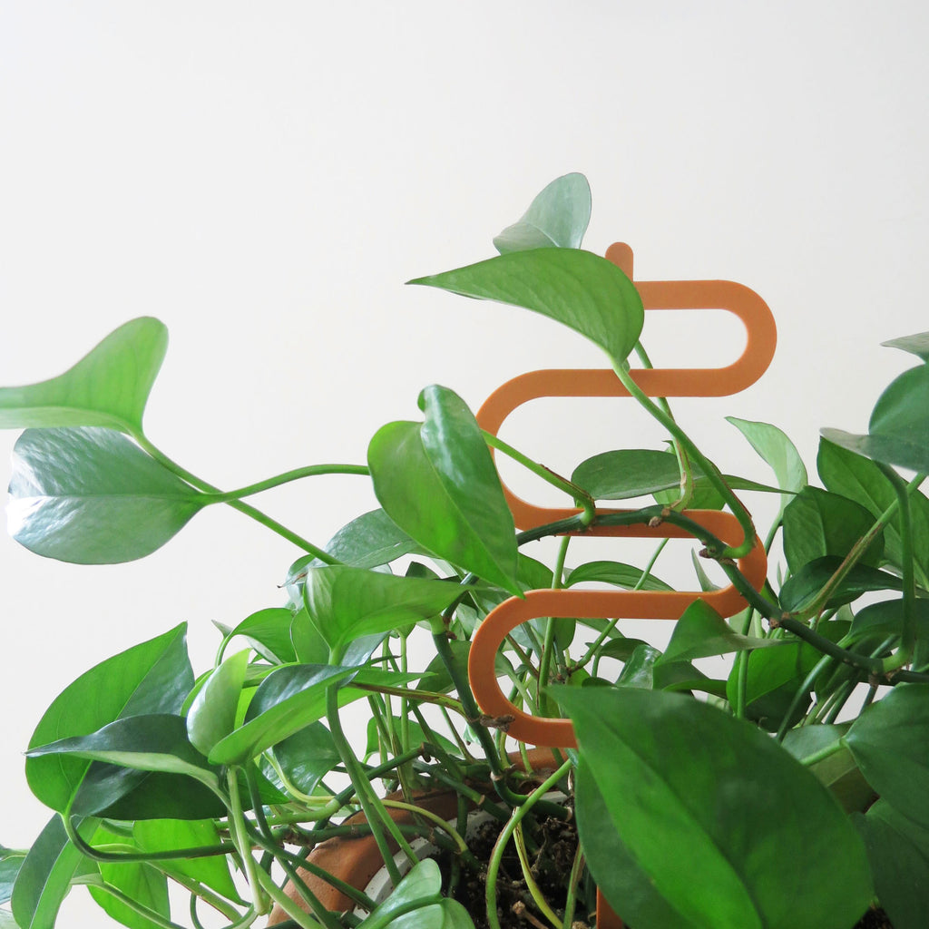 Acrylic Trellis - Plant Supports - Waves - Nutmeg