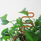 Acrylic Trellis - Plant Supports - Waves - Nutmeg