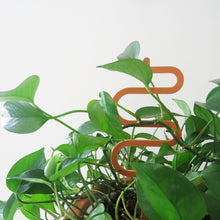 Acrylic Trellis - Plant Supports - Waves - Nutmeg