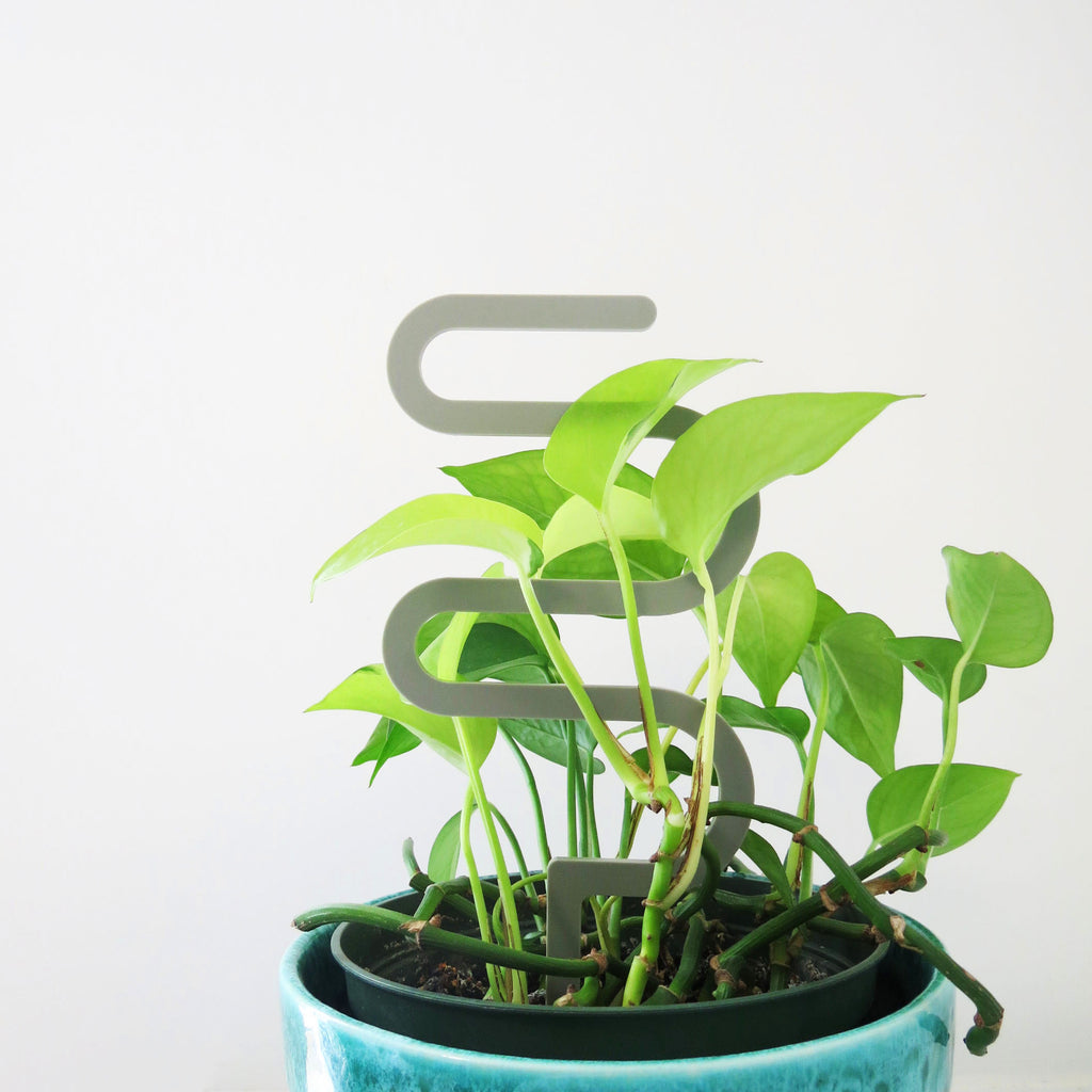 Acrylic Trellis - Plant Supports - Waves - Slate