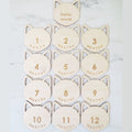 Baby Monthly Milestones - Cat