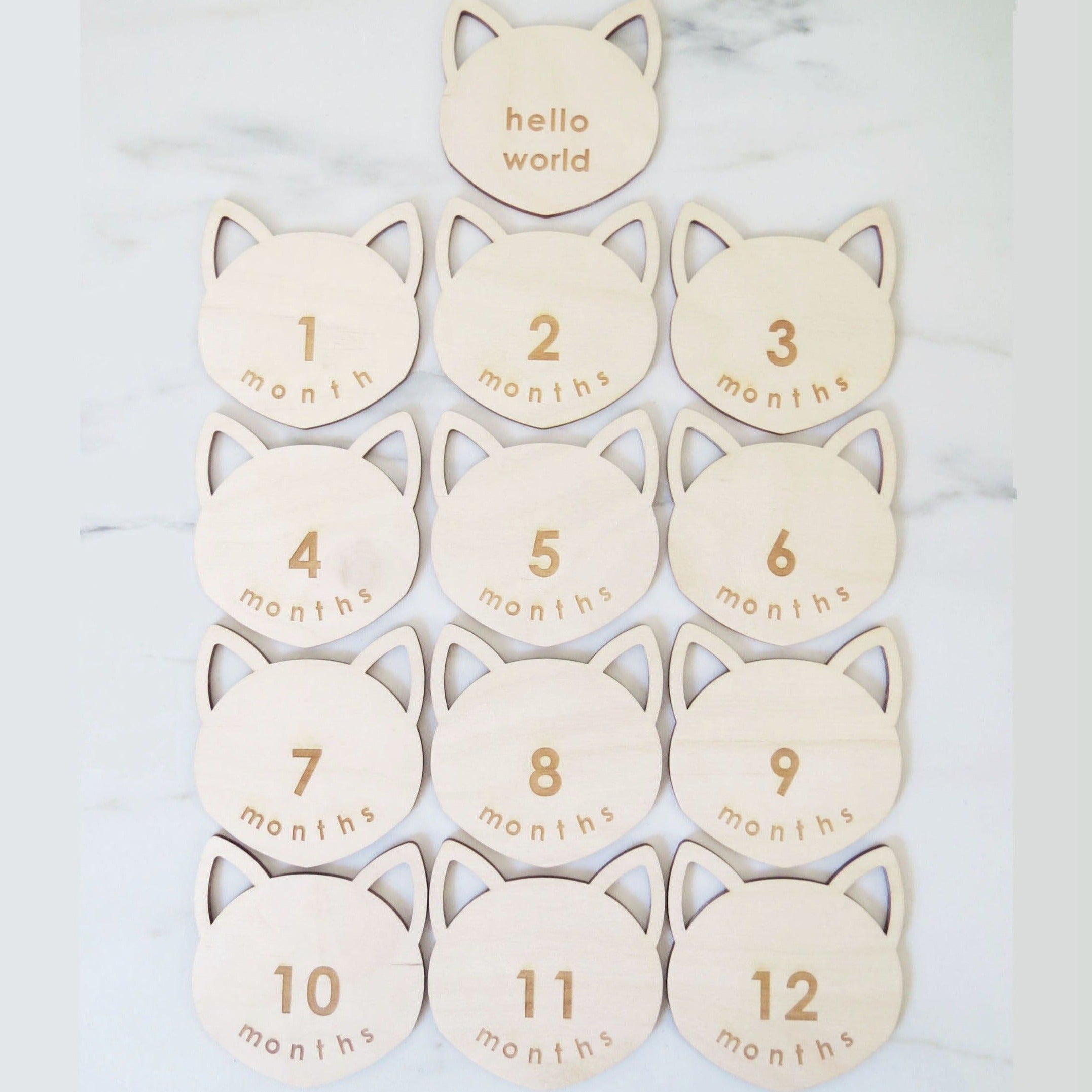 Baby Monthly Milestones - Cat