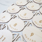 Baby Monthly Milestones - Cat