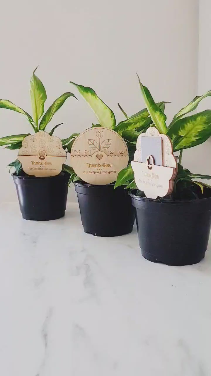 Teacher Appreciation Gift - Plant Stick