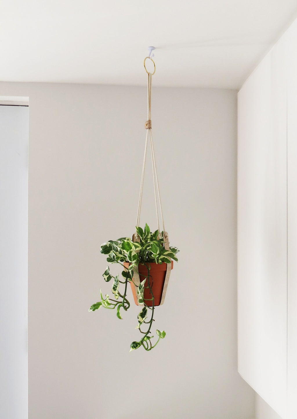 Cork Plant Hanger - Indoor Plant Hanger