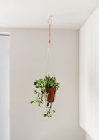 Cork Plant Hanger - Indoor Plant Hanger