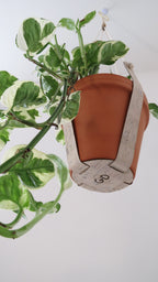 Cork Plant Hanger - Indoor Plant Hanger
