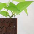 Medium Vase - Herringbone