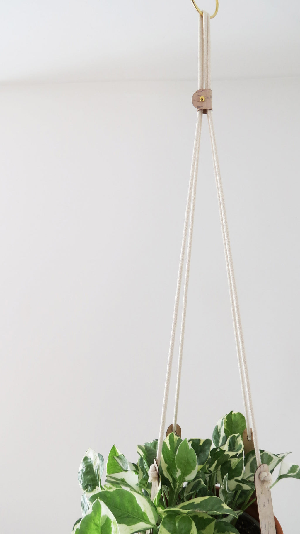 Cork Plant Hanger - Indoor Plant Hanger
