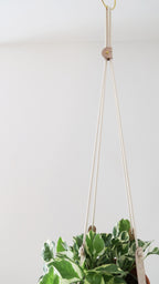 Cork Plant Hanger - Indoor Plant Hanger