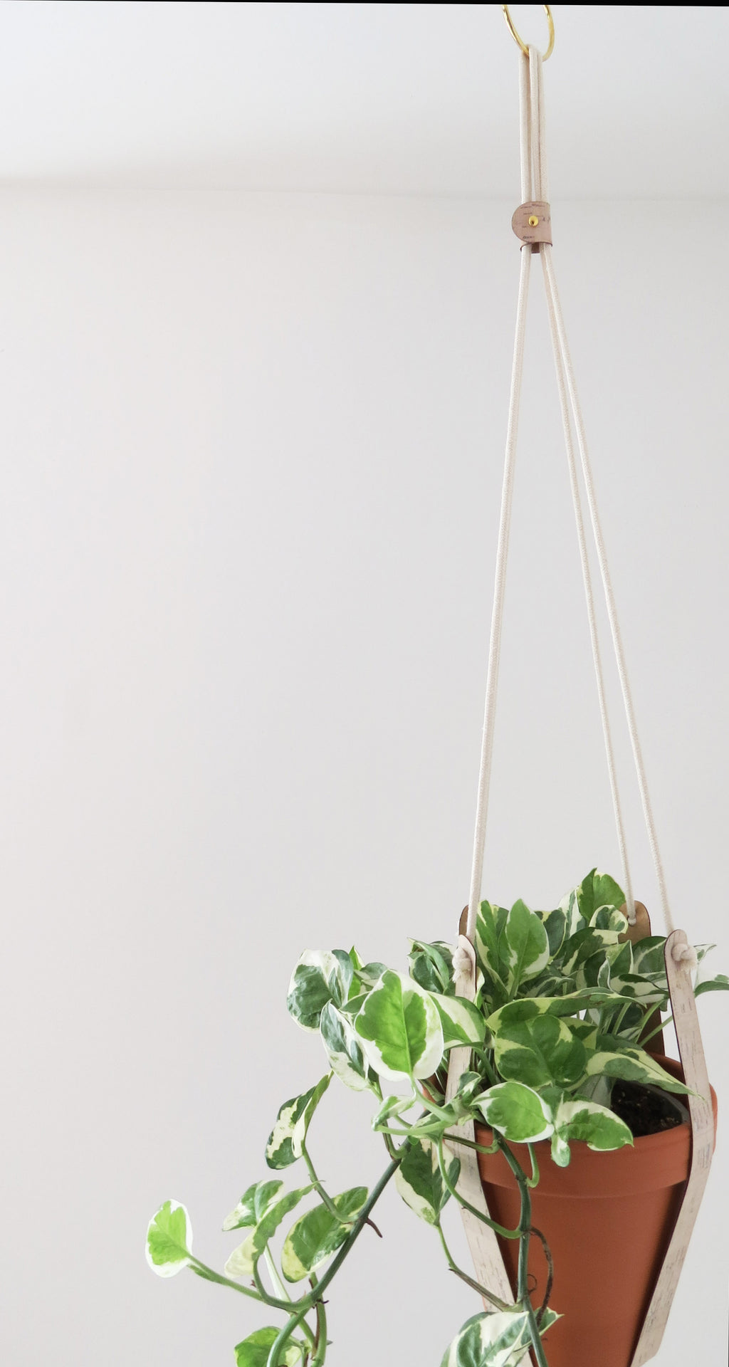 Cork Plant Hanger - Indoor Plant Hanger