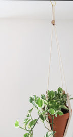 Cork Plant Hanger - Indoor Plant Hanger