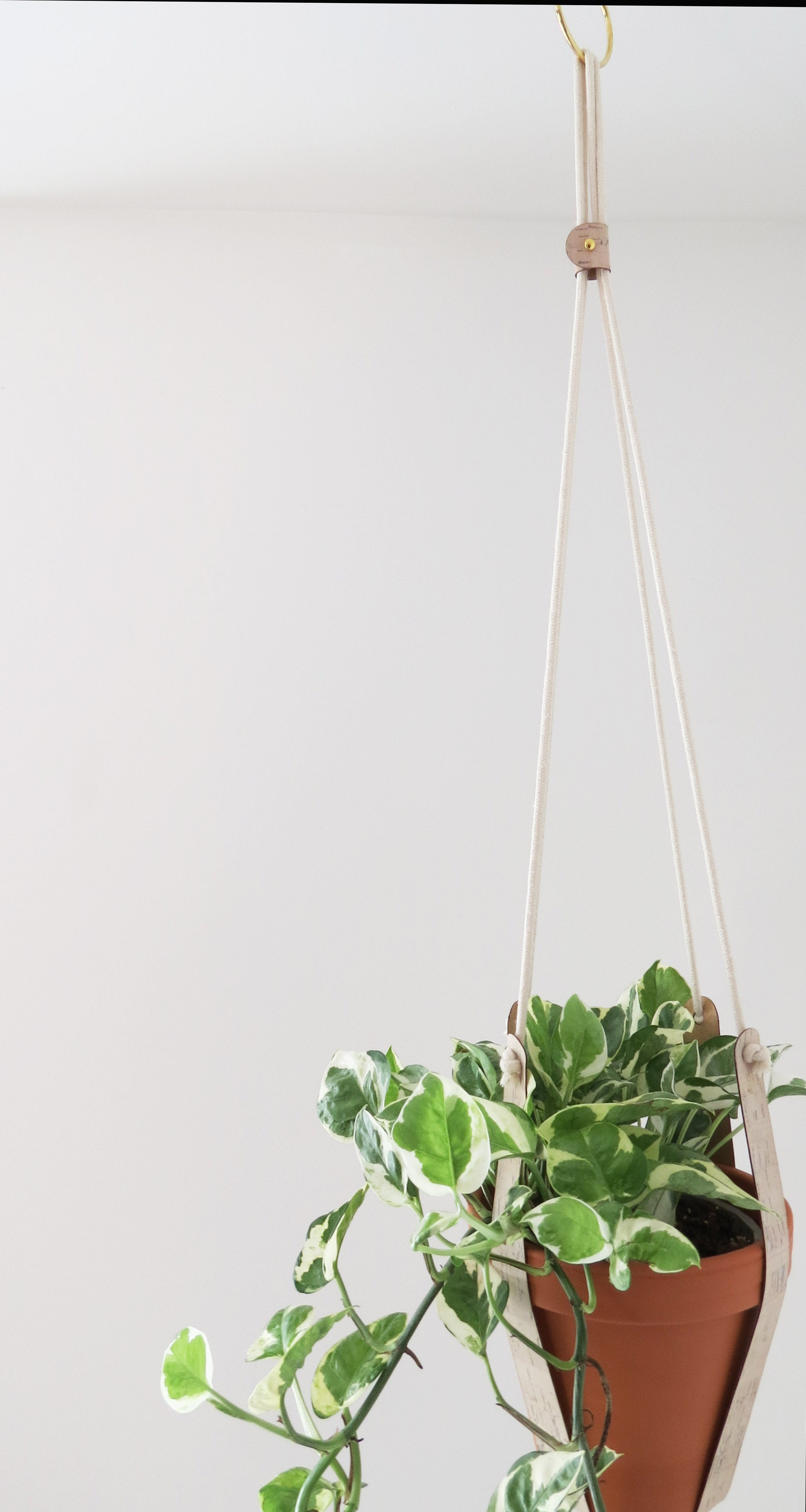 Cork Plant Hanger - Indoor Plant Hanger