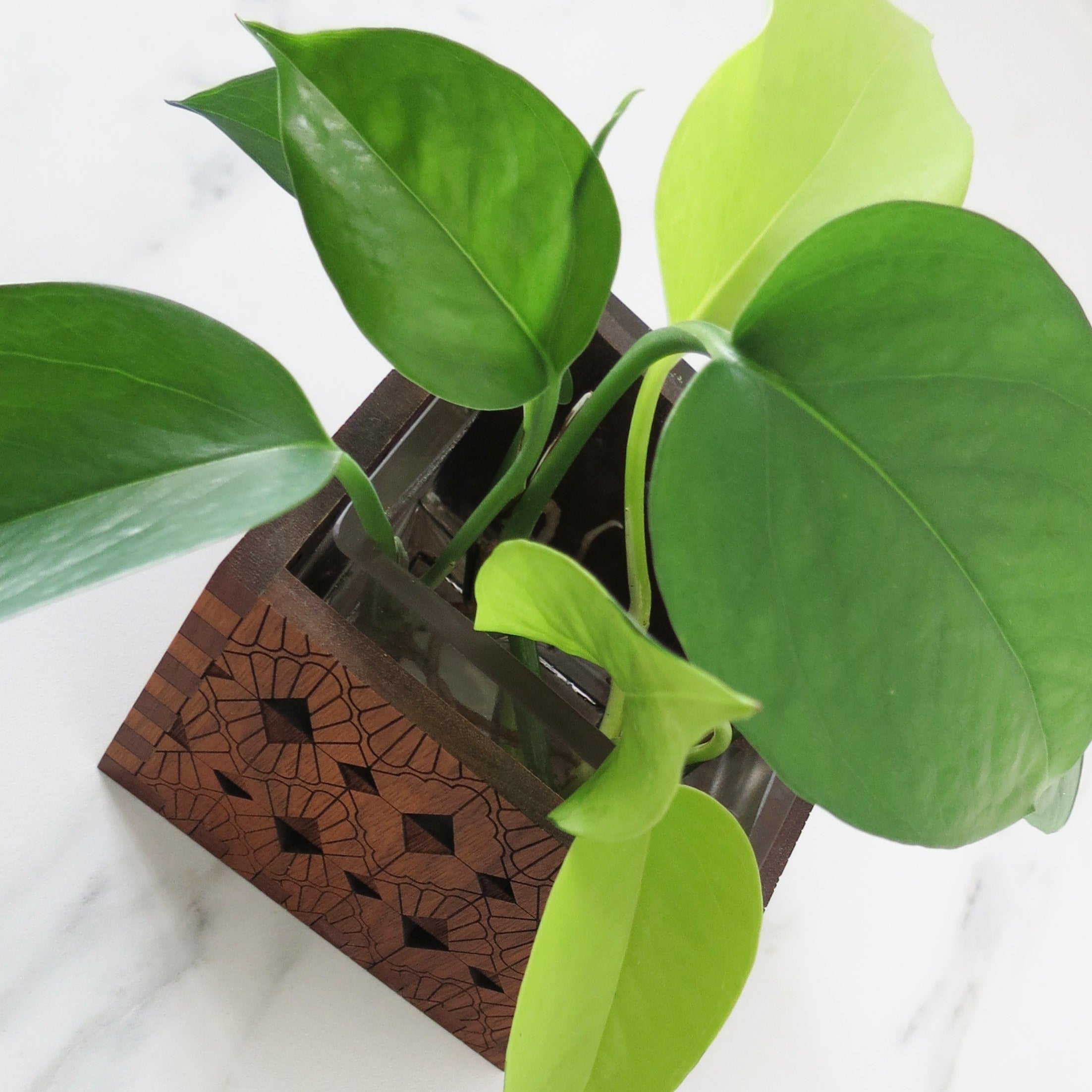 Small Vase - Art Deco