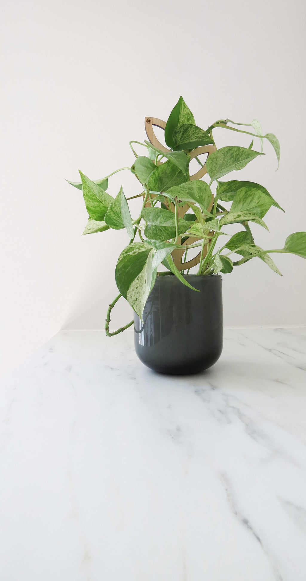 Plant Support - Trellis - Wood Leaves