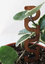 Mini Plant Support - Trellis