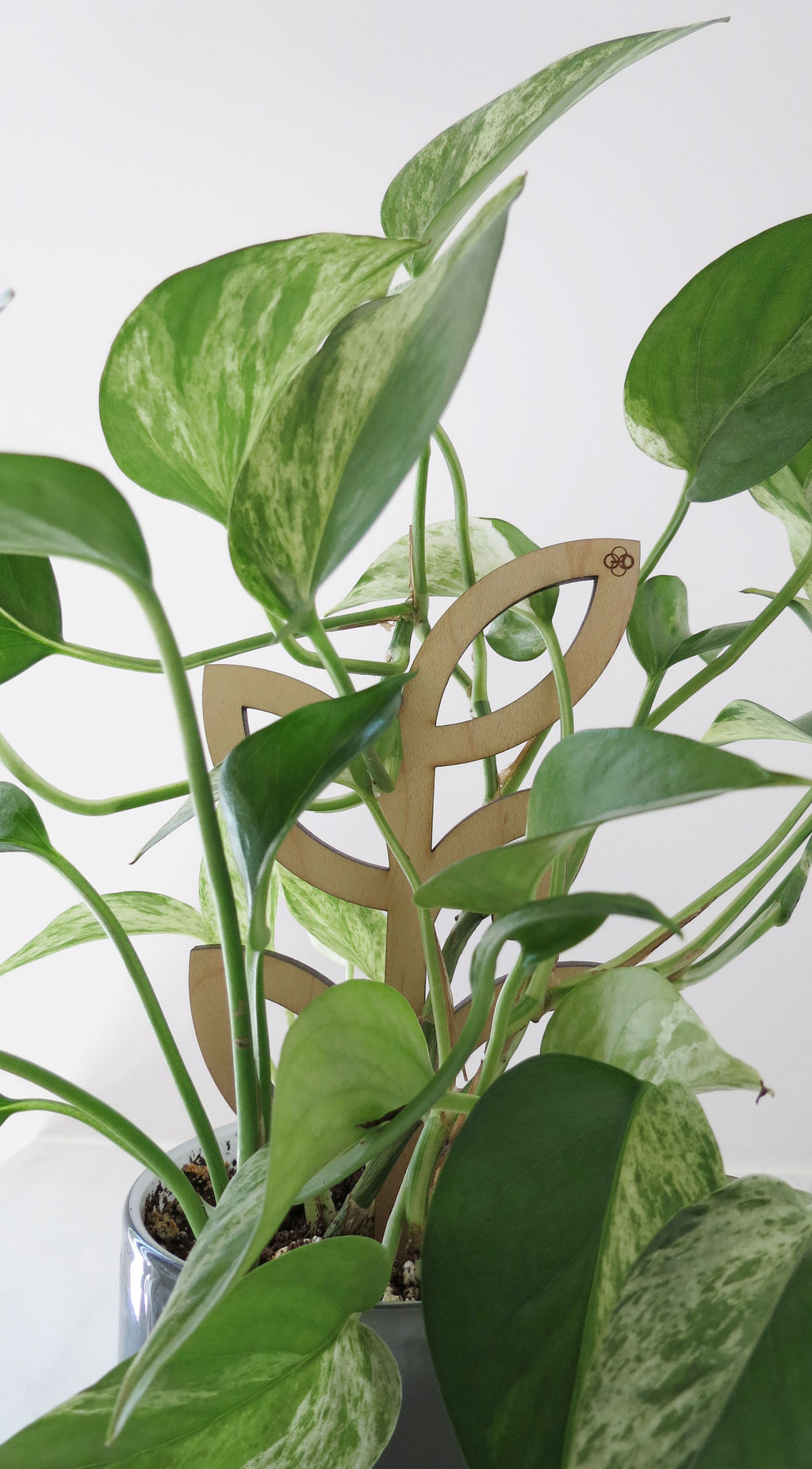 Plant Support - Trellis - Wood Leaves