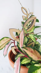 Plant Support - Trellis - Wood Leaves
