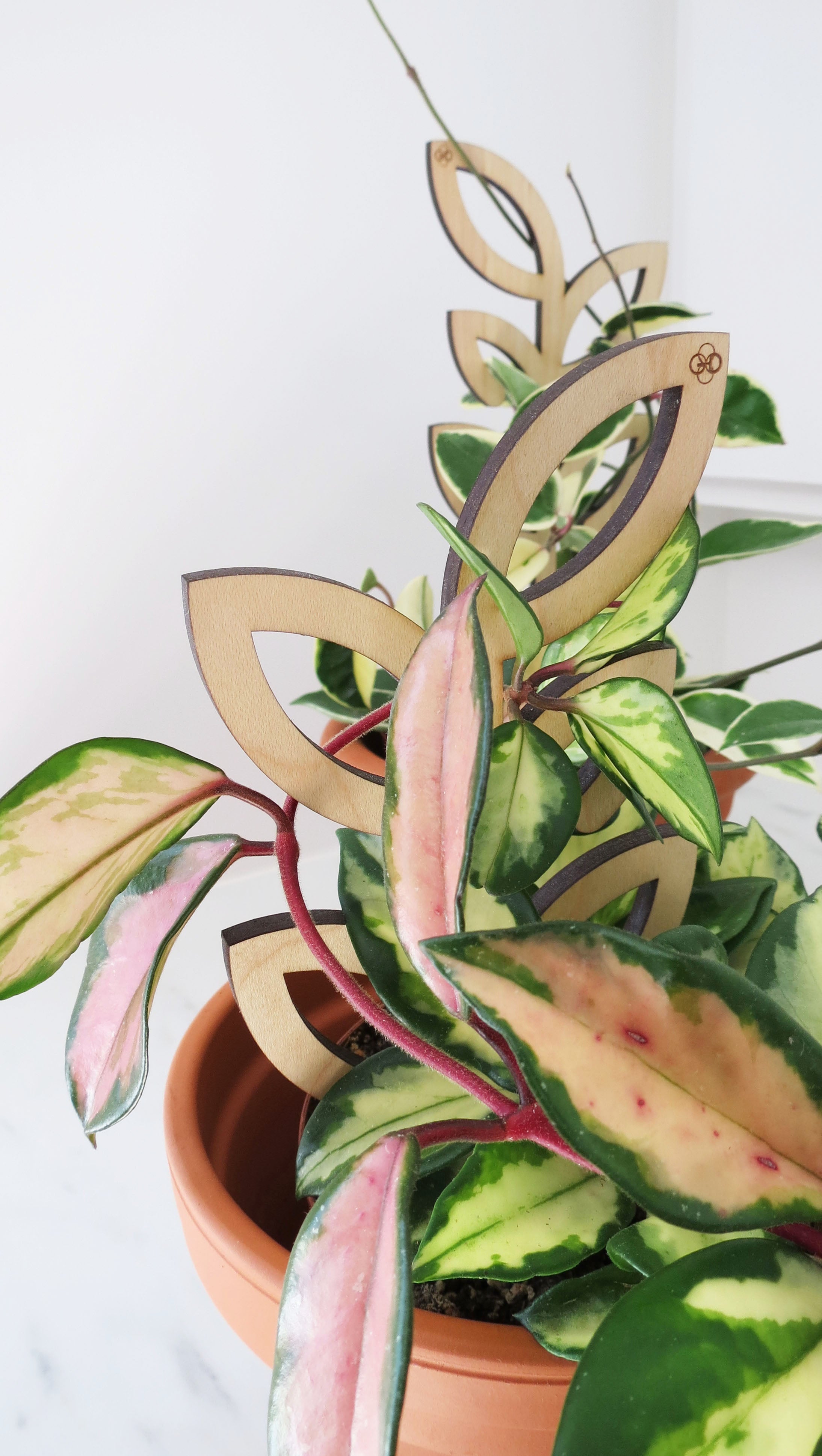 Plant Support - Trellis - Wood Leaves