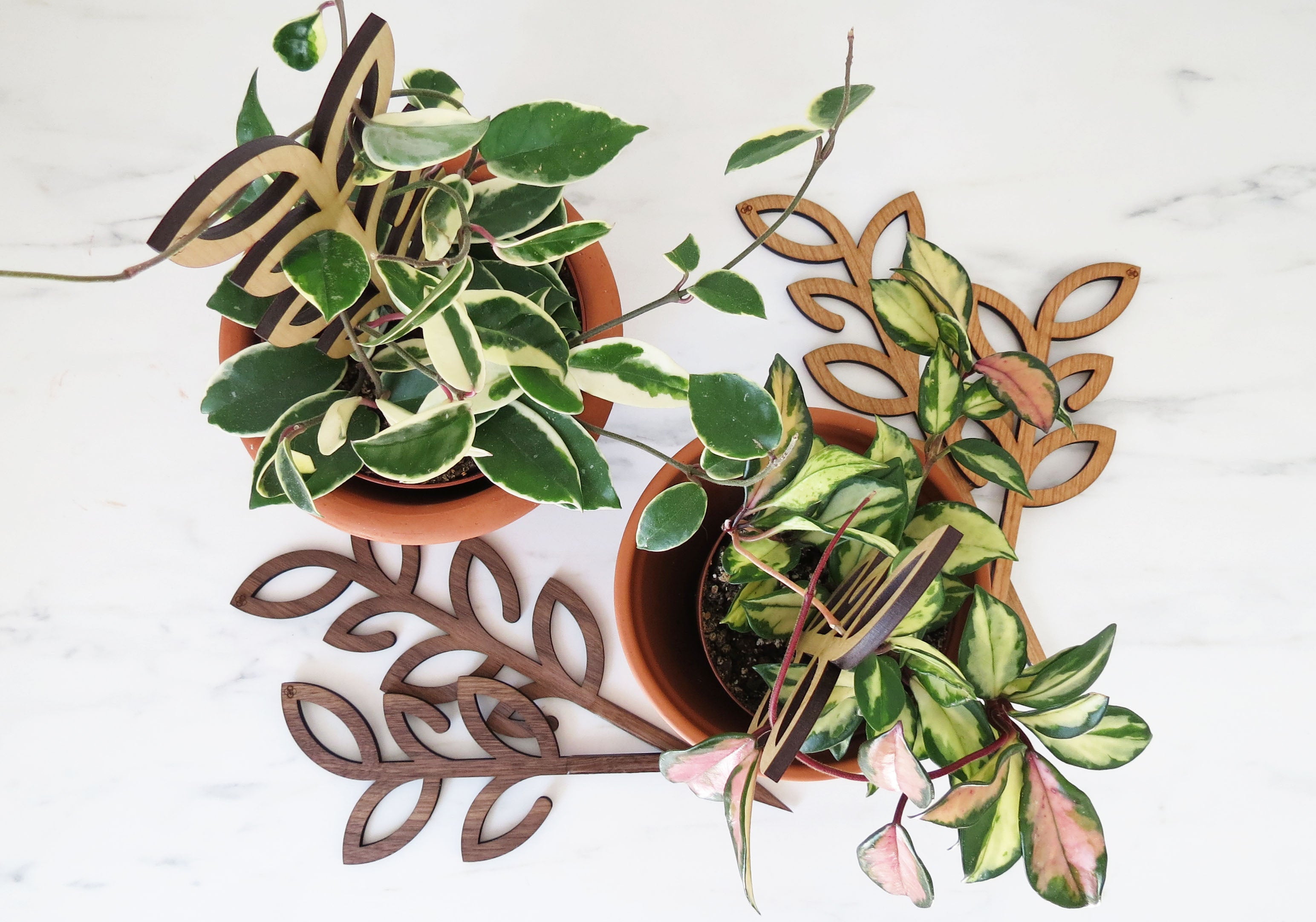 Plant Support - Trellis - Wood Leaves