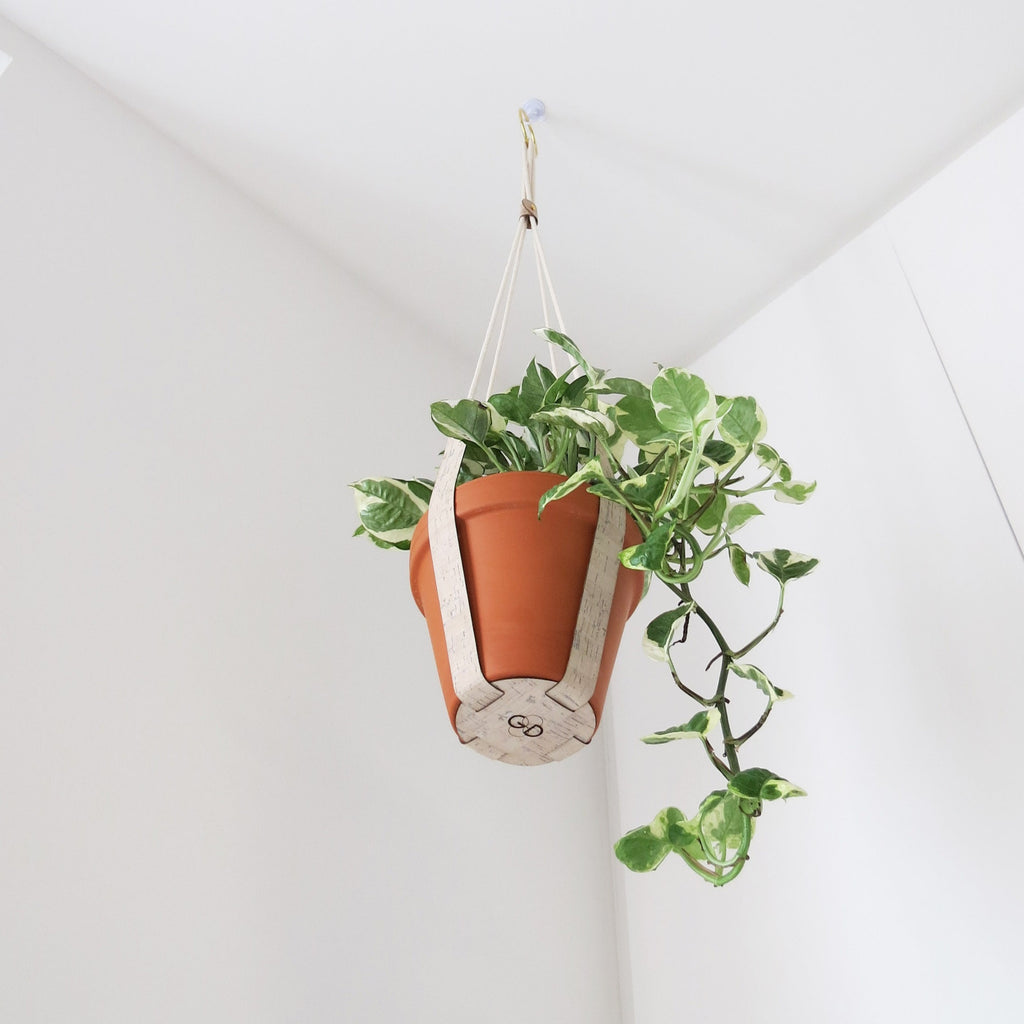 Cork Plant Hanger - Indoor Plant Hanger