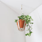 Cork Plant Hanger - Indoor Plant Hanger